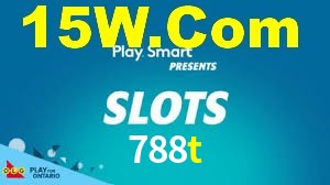 788t.com